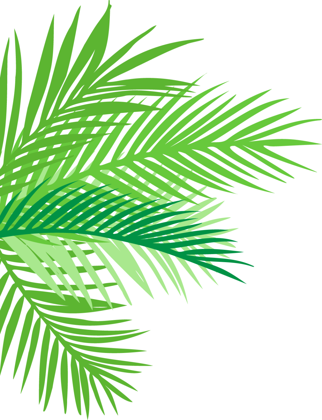 1660118056477907.png 640 (1).png